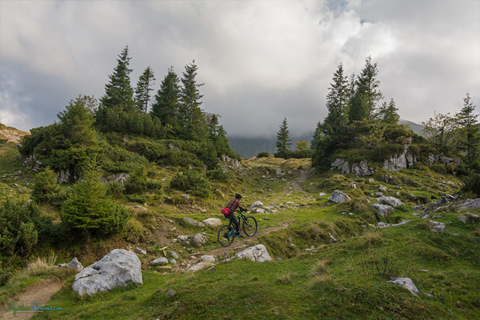 Mountain Bike Tours in Rural Transylvania, Romania